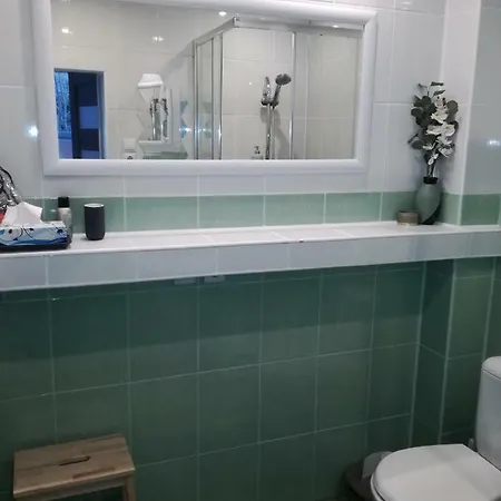 Apartament Przy Mickiewicza Stronie Slaskie Exterior photo