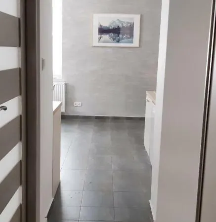 Apartament Przy Mickiewicza Stronie Slaskie Exterior photo